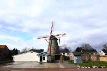 Vanaf nu kan je trouwen in Zorgvlietmolen van Molenbeersel - Het Belang van Limburg