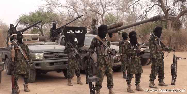 Breaking: 5,000 persons displaced, as Boko Haram hits Adamawa