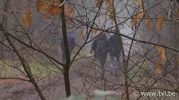 Beslissing rond zandwinning in Bocholt nakend, klimaatverenigingen schrijven open brief - TV Limburg