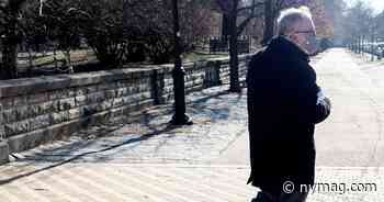 Stringer Theory - New York Magazine