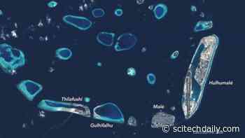 A New Artificial Island: Preparing for Rising Seas in the Maldives