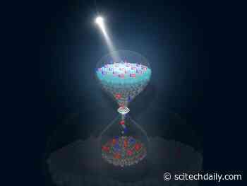 Long Live Superconductivity! Short Flashes of Laser Light With Sustaining Impact