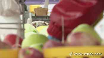 Brighton Farmers Market opens early
