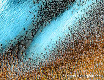NASA shares an image of dunes near the North Pole of Mars