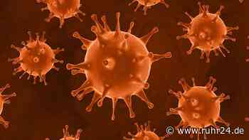 Coronavirus-Zahlen/aktuell (11.04.2021): Infizierte und Tote in Deutschland, Österreich, Italien, Spanien u... - ruhr24.de