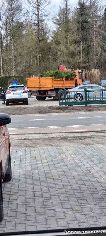 Politie achtervolgt gekochte palmbomen