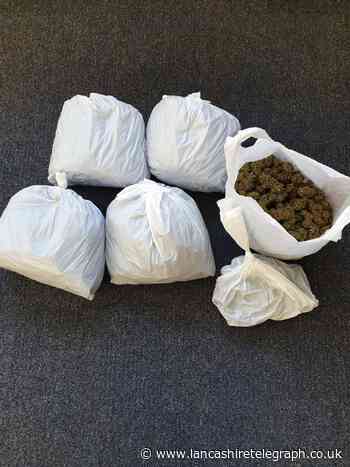 Nearly 100 cannabis plants found as warrant executed in Brierfield