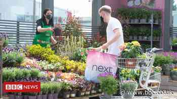Homebase to put mini garden centres at Next stores
