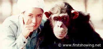 HBO Trailer for 'Lucy The Human Chimp' About a 60s Chimpanzee