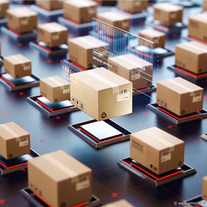 Forse stijging fraudemeldingen online shoppen