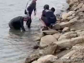 Saskatoon jogger saves eight-year-old boy who slipped and fell into South Sask. River