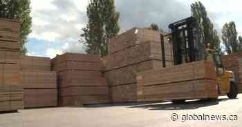 Lumber industry and home building materials seeing a drastic increase in price, shortages