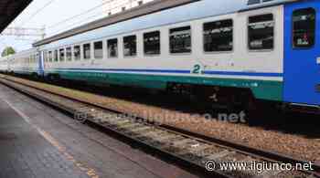 Treno fermo da un'ora. Investito qualcosa, forse un animale - IlGiunco.net - IlGiunco.net