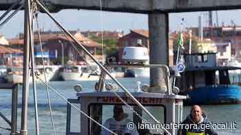 Fermo pesca novellame fino a metà maggio - La Nuova Ferrara
