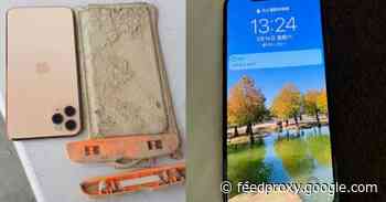 Tourist recovers fully-functioning iPhone 11 after it spent one year in a lake
