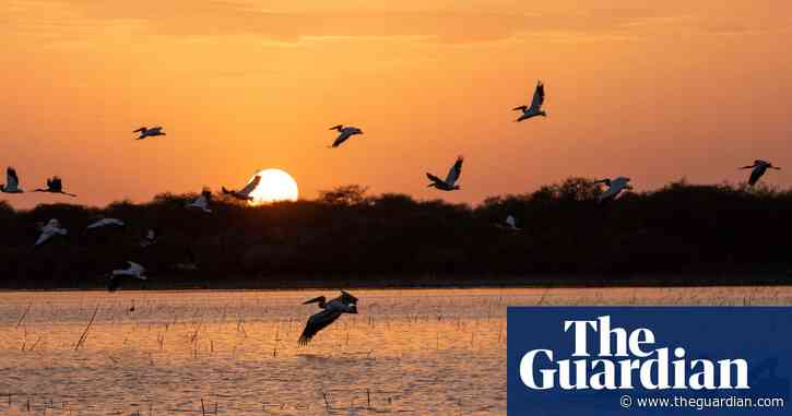 A wistful yearning for home and family | Brief letters