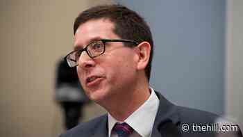 House Budget Committee 'not considering' firing CBO director
