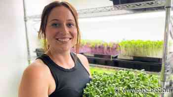 Mum turns microgreen 'side hustle' into thriving business