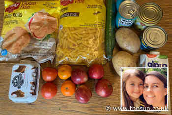 Mum blasts school meal box packed with food her daughter, 10, is allergic to – as well as mouldy onions... - The Sun