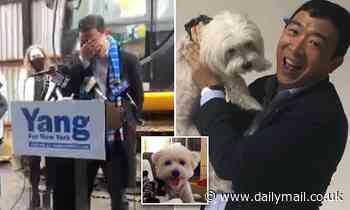 NYC Mayoral candidate Andrew Yang CRIES talking about giving his dog away