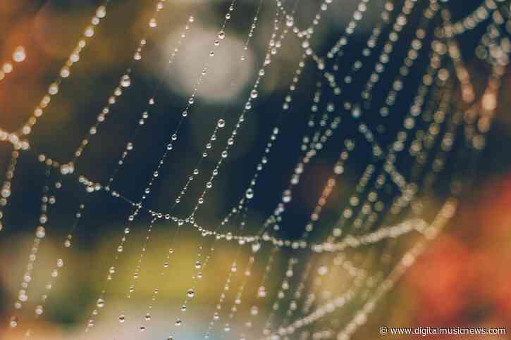 What Do Spiderwebs Sound Like? – Scientists Create Music from their Vibrations