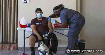 Is California coronavirus variant preventing a spring surge? - Los Angeles Times