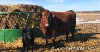 A call for your best calving season photos