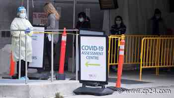 City could see 2500 daily COVID-19 cases by end of April, Toronto's top doctor says - CP24 Toronto's Breaking News