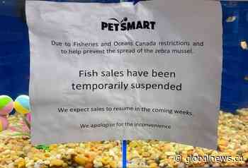 PetSmart Canada stops selling fish, cites federal oversight and invasive species