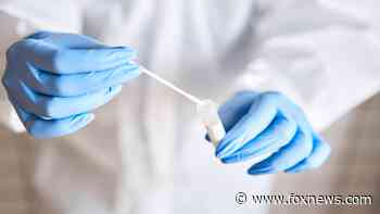 Should people vaccinated against coronavirus still get tested? - Fox News