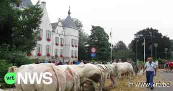 Gemeente Wemmel plant voorzichtig jaarmarkt en viering nationale feestdag: "Inwoners perspectief geven" - VRT NWS
