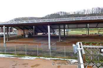 In Steinen könnte ein Recyclinghof unter der Solaranlage entstehen - Steinen - badische-zeitung.de