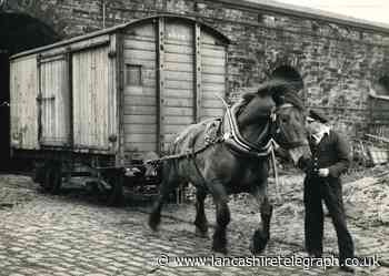 Blackburn's last railway horse was facing ‘redundancy’