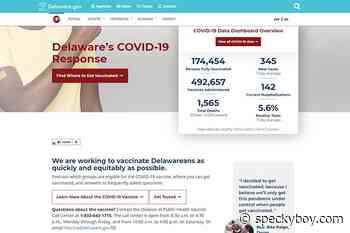 Critical Info: The Story Behind Building a Government COVID-19 Website