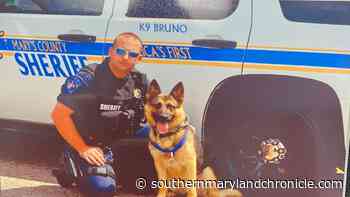 SMCSO Announces Passing of Retired K9 Bruno - The Southern Maryland Chronicle