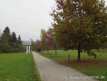 Baumallee aller Baum-des-Jahres Bäume im Ginkgopark Vilshofen - Olching - myheimat.de - myheimat.de
