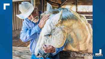 Houston Livestock and Rodeo Show school art contest winners announced - KHOU.com