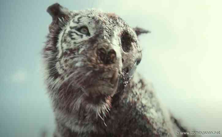 Zack Snyder’s Army of the Dead Trailer: A Different Kind of Heist Pic