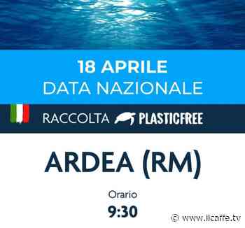 Ad Ardea arriva Plastic Free: ecco come iscriversi alla pulizia della spiaggia - Il Caffè.tv