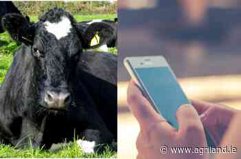 NDC: Social media a 'vital channel' for backing dairy - Agriland