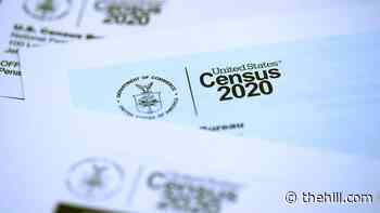 Biden picks Latino statistician as census director in historic move
