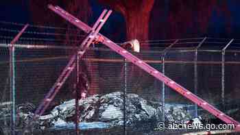 Aggressive takeoff caused Hawaii plane crash that killed 11