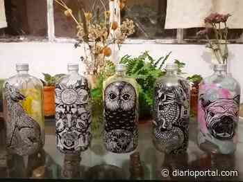 Promueve Isabel Tello creación artística a partir del reciclaje - Portal