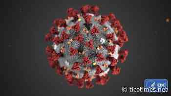 Costa Rica coronavirus data for Tuesday, April 13 - The Tico Times