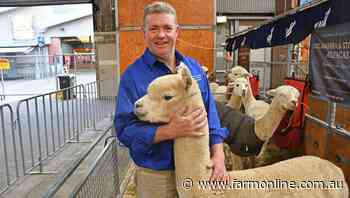 New trade deal with China gives Alpaca growers a boost