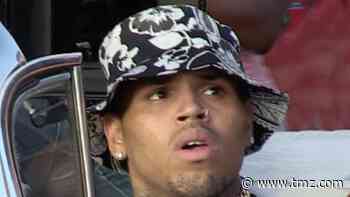 Chris Brown Sued Over Cleaning Lady Getting Bitten by His Dog