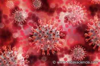 El ARN del coronavirus puede persistir hasta un mes en el polvo de una habitación - Xataka Ciencia