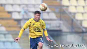 Fano Modena 0-1, canarini di misura con la rete di Ingegneri - il Resto del Carlino