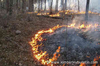 Prescribed burn planned for Forest Crowne area this week – Kimberley Daily Bulletin - Kimberley Bulletin