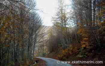 Two-part plan for dealing with forest map objections - Kathimerini English Edition